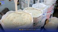 قیمت برنج ایرانی سر به فلک کشید + قیمت انواع برنج