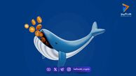 نهنگ ارز دیجیتال کیست و چگونه معامله می‌کند؟