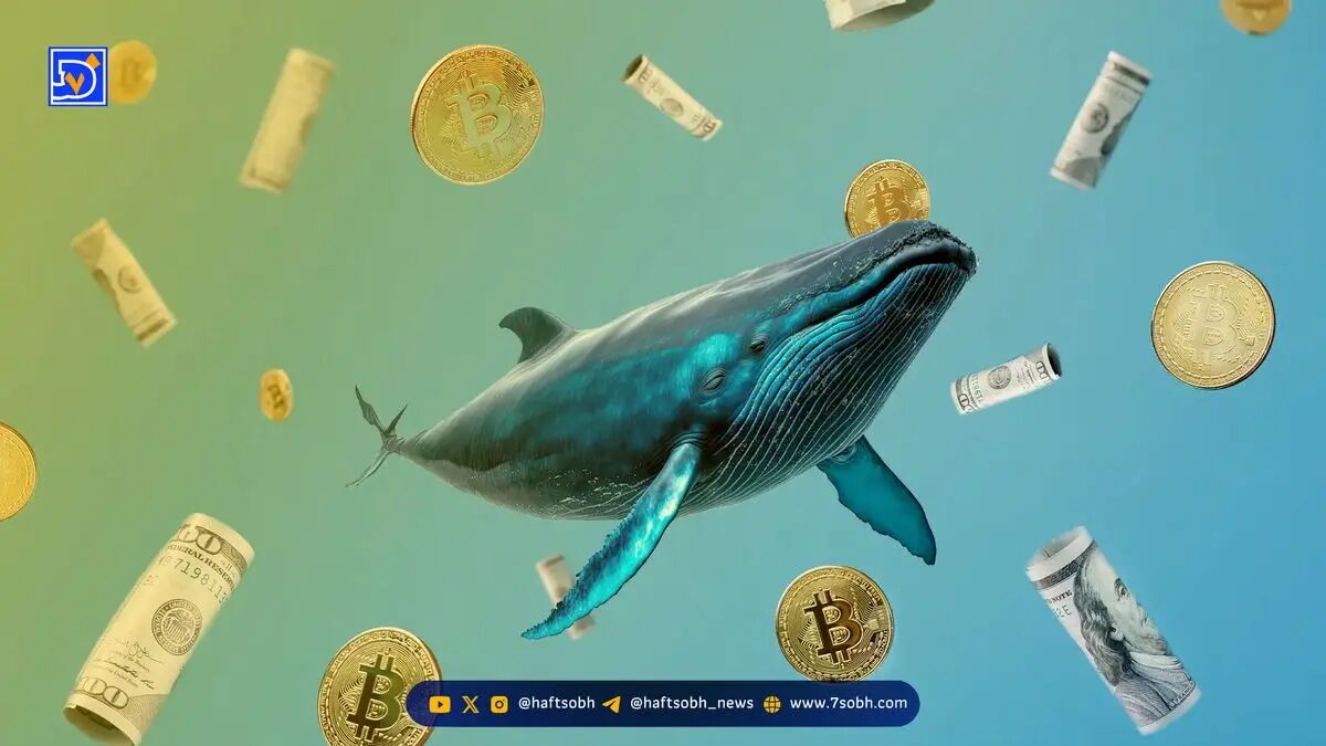 معاملات نهنگ بزرگ هایپرلیکویید؛ او از ریزش بازار خبر داشت؟