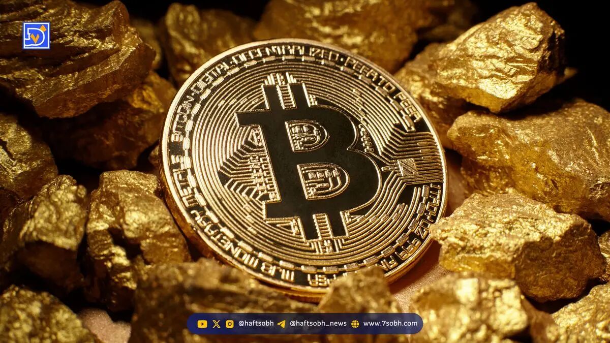 تحلیل استراتژی شرکت‌های خزانه داری بیت‌کوین و چالش‌های بازار