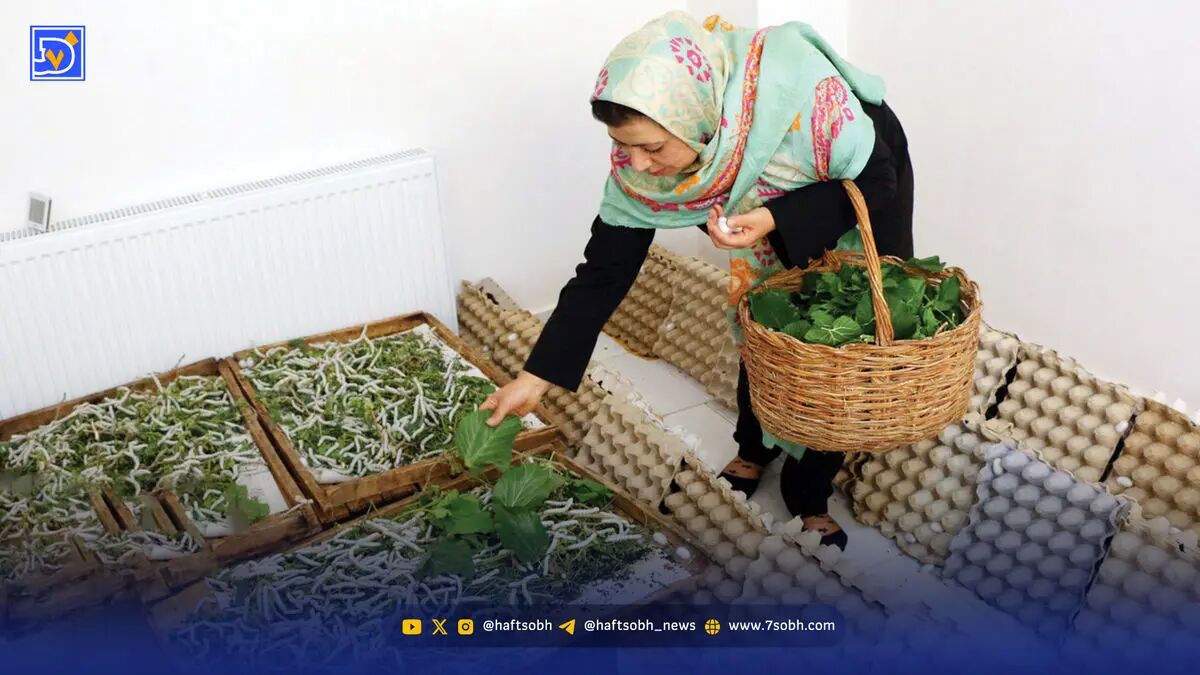 وام‌های بی‌اثر | تسهیلاتی که با واقعیت فاصله دارند