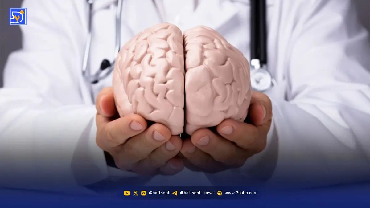 ۵ خوراکی شگفت‌انگیز برای تقویت حافظه و تمرکز ذهن