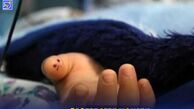 ماجرای فوت غم انگیز دانش آموز شیرازی