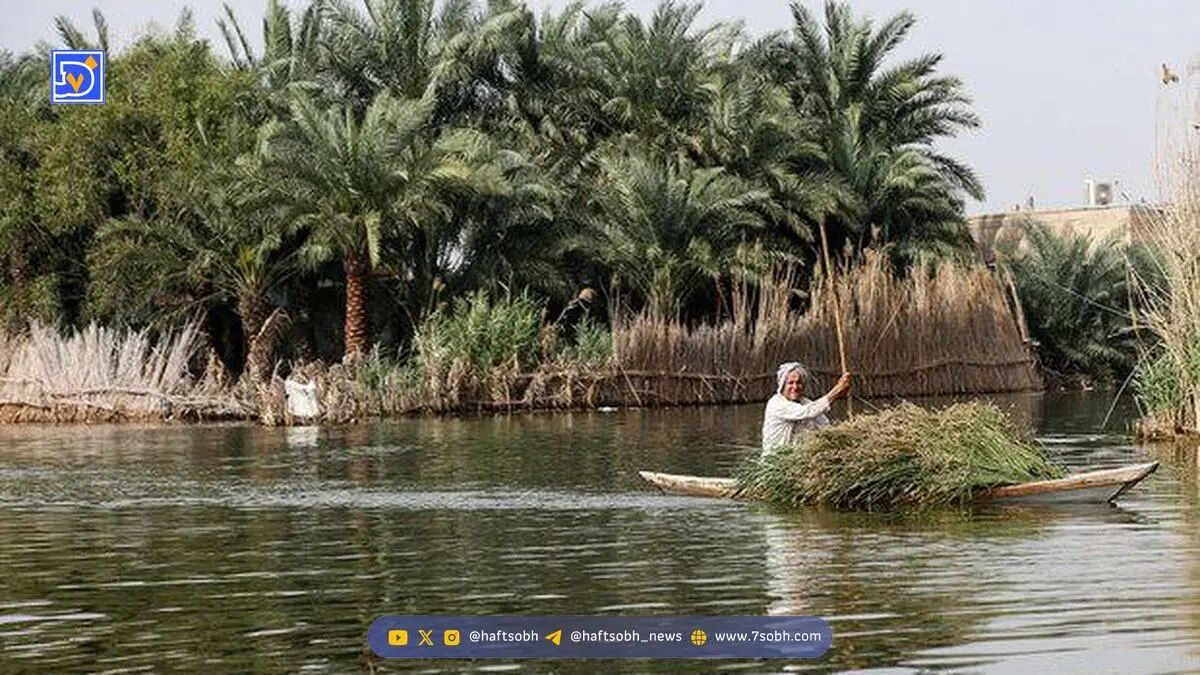 تالاب بین‌المللی شادگان، شاهراه توسعه پایدار منطقه
