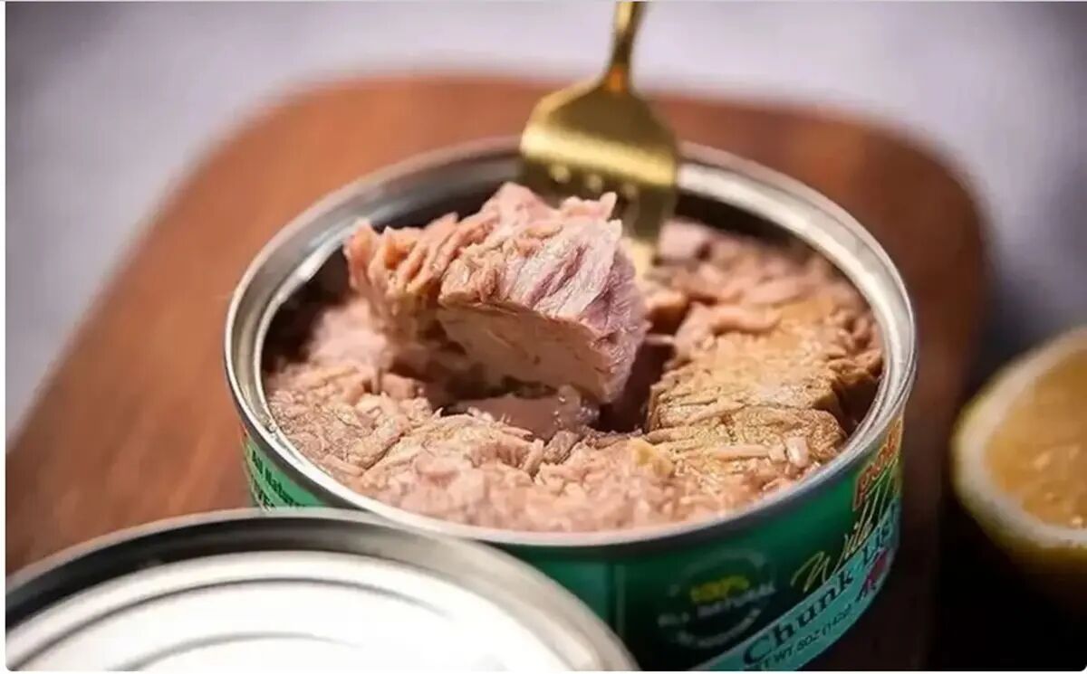 قیمت کنسرو تن ماهی