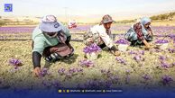 عطر ایرانی، رنگ هندی!
