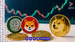 بهترین میم کوین‌های ۲۰۲۶؛ بررسی علمی فرصت‌ها و ریسک‌های بازار میم کوین‌ها