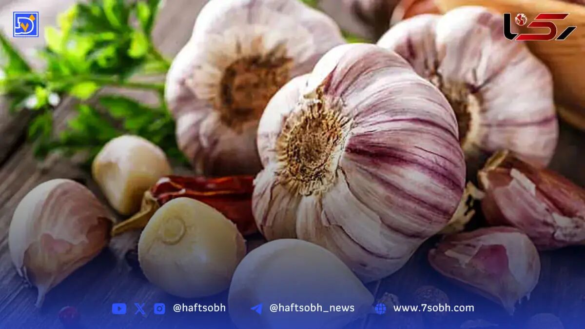 خوردن سیر خام ناشتا باعث لاغری می‌شود؟