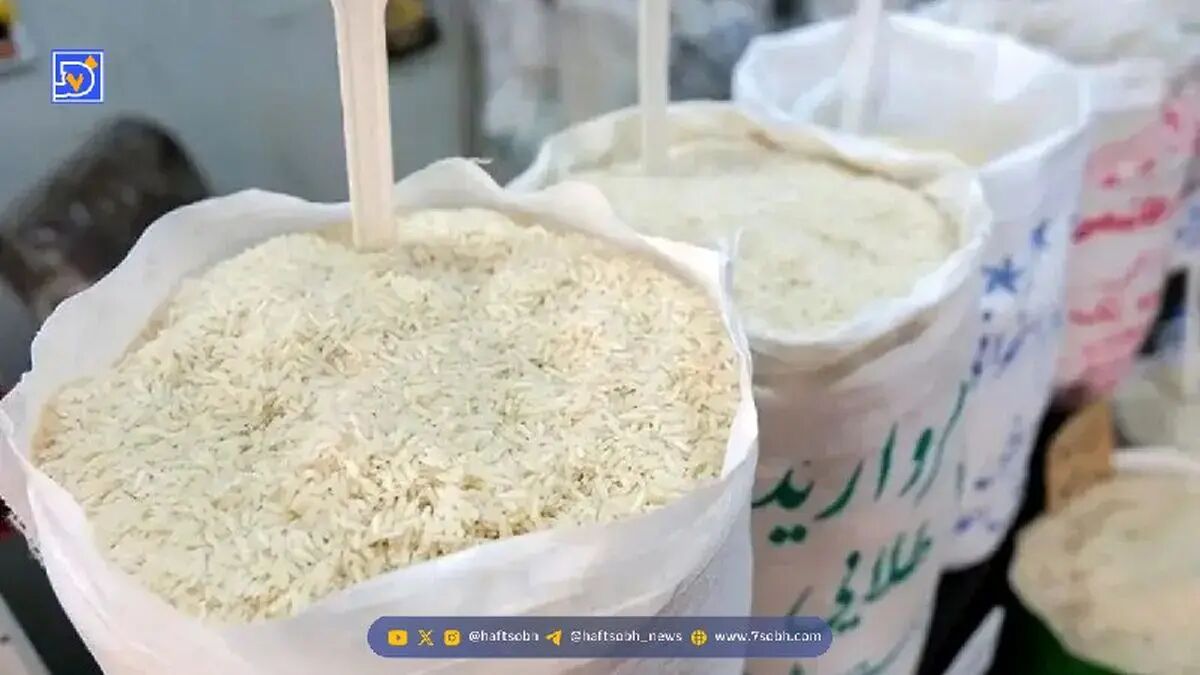 خبر خوب درباره عرضه برنج ارزان اعلام شد