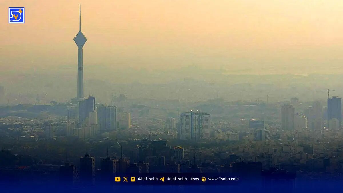 قائم پناه: اگر آلودگی هوا بیشتر از این شود، کشتار می‌کند