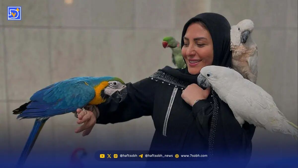 پوشش متفاوت المیرا شریفی مقدم بیرون از صداوسیما
