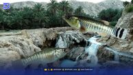 گونه غیربومی گامبوزیا تهدیدی برای ماهیان بومی هرمزگان