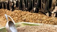 آخرین وضعیت بازار نهاده پس از نرخ گذاری جدید/ پیش‌بیی کاهش قیمت تخم‌مرغ