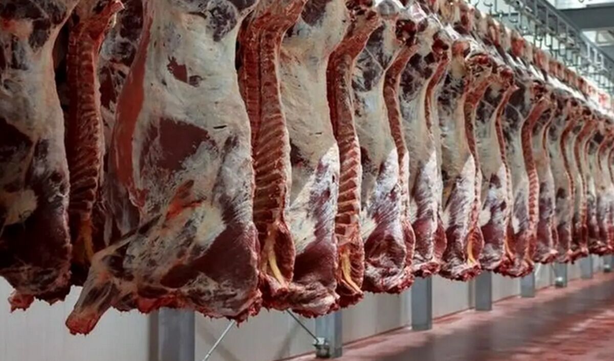 قیمت جدید گوشت قرمز در بازار