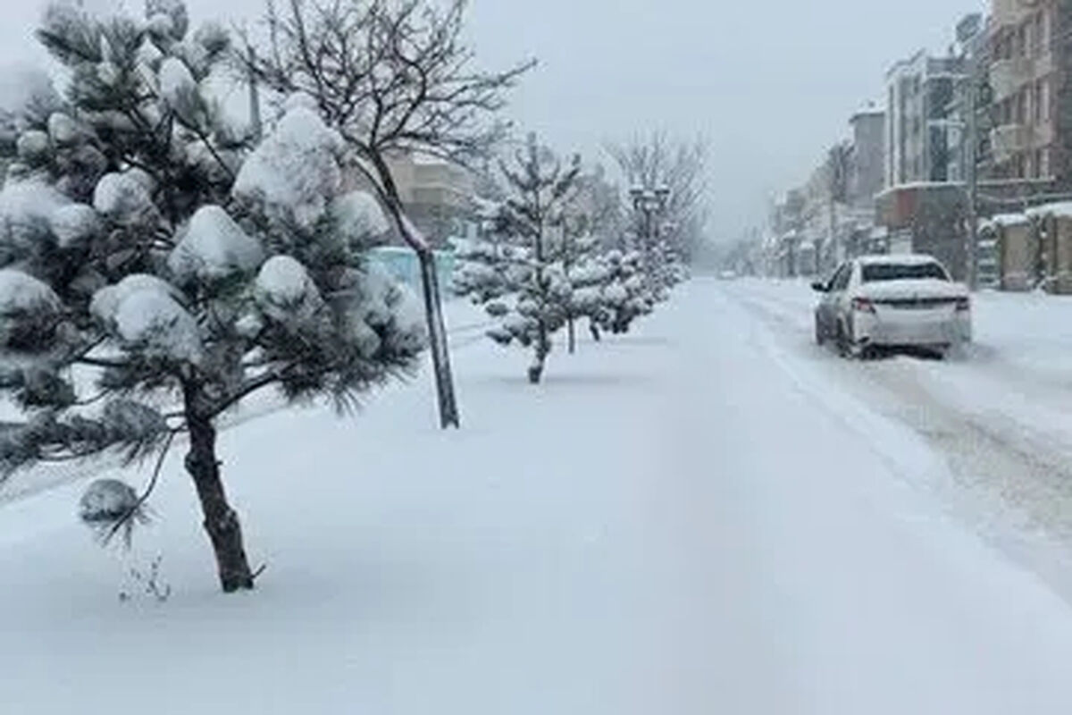 هشدار بهمن و سرمازدگی در تهران