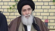 آیت‌الله هادی سیستانی درگذشت