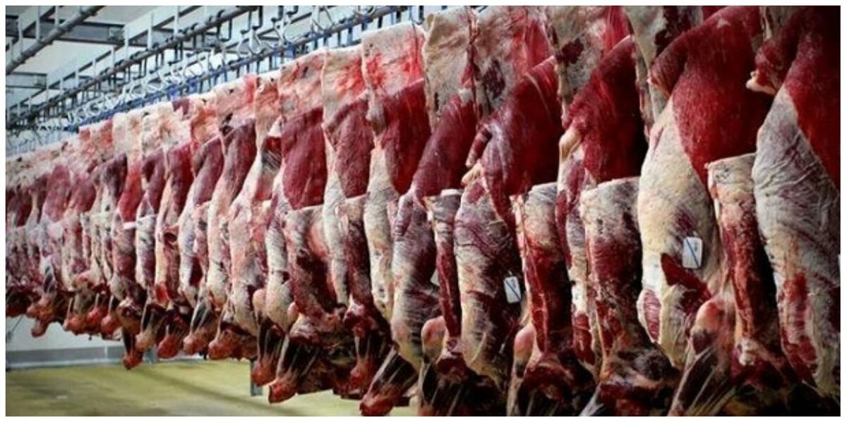 قیمت جهانی هر کیلو گوشت گوسفندی حداکثر ۷ دلار است