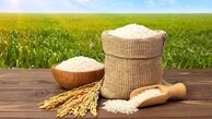 ورود برنج پاکستانی تا ۱۲ روز آینده/ کمبودی در کالاهای اساسی وجود ندارد