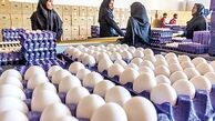 تخم مرغ ارزان شد / هر کیلو چند؟