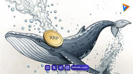 نهنگ‌های ریپل با خرید سنگین بازار را تکان دادند؛ آیا جهش بزرگ XRP در راه است؟