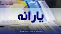 یارانه جدید دو میلیونی به چه کسانی تعلق می‌گیرد؟