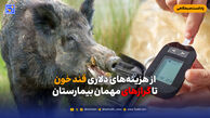 از هزینه‌های دلاری قند خون تا گرازهای مهمان بیمارستان