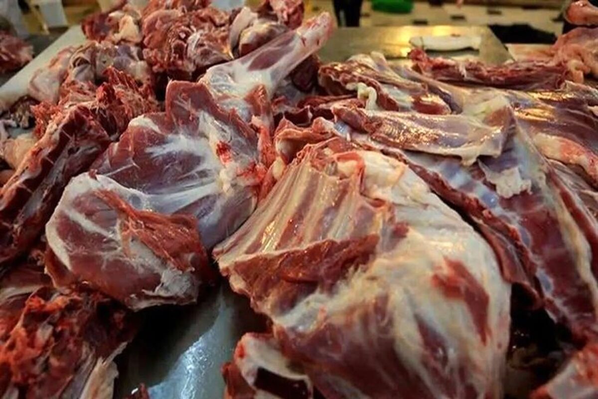 سقوط آزاد قیمت گوشت در آستانه نوروز / گوشت قرمز کیلویی چند؟