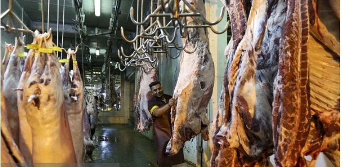 بیش از ۸۲ هزار تن گوشت در سردخانه های کشور موجود است