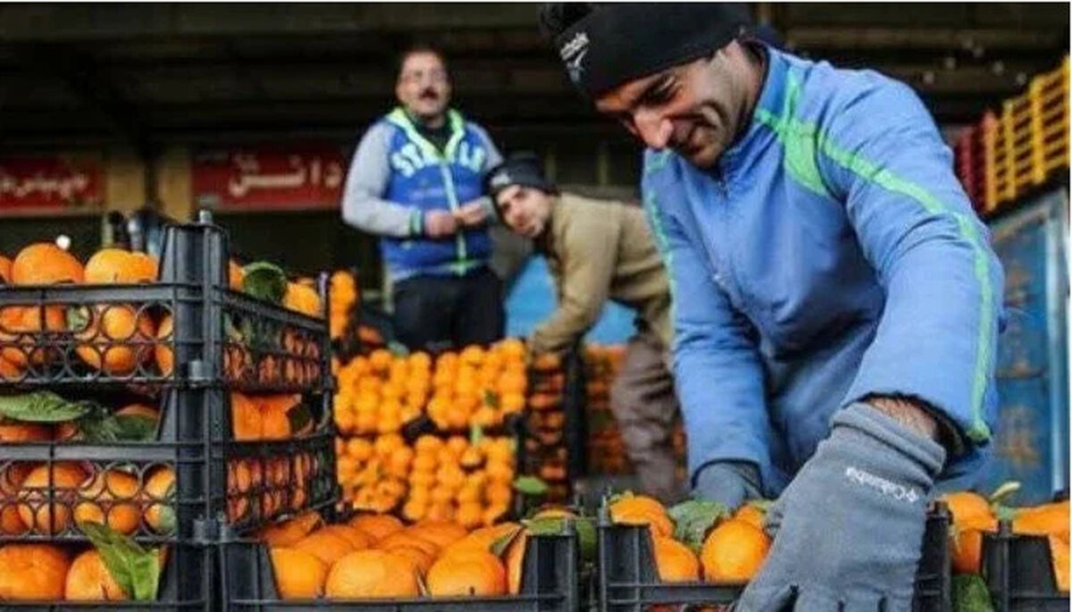 میوه‌های شب عید از امروز توزیع می‌شود