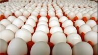 تکان شدید قیمت تخم مرغ در بازار / قیمت جدید تخم مرغ اعلام شد