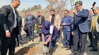 پیوستن رئیس سازمان حفاظت محیط‌زیست به پویش ملی درختکاری «سرو ایران»