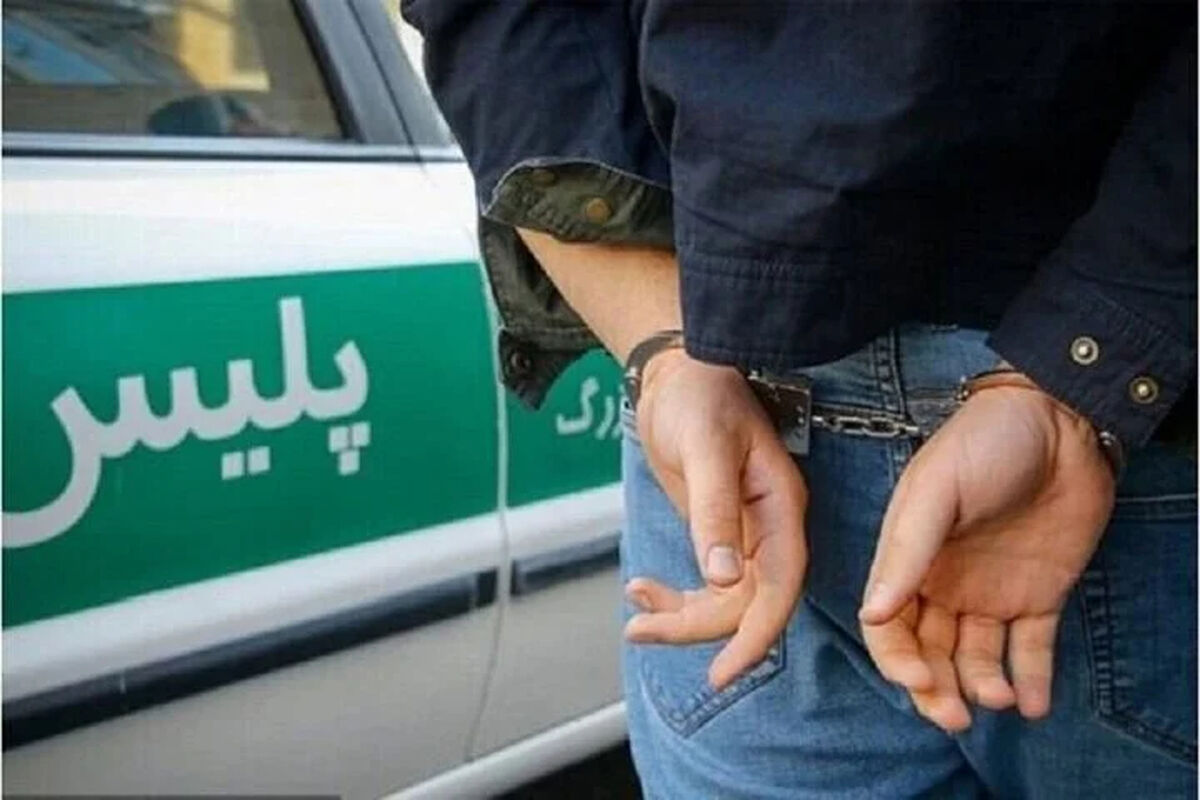 دستگیری عامل ارسال اطلاعات به شبکه‌های معاند