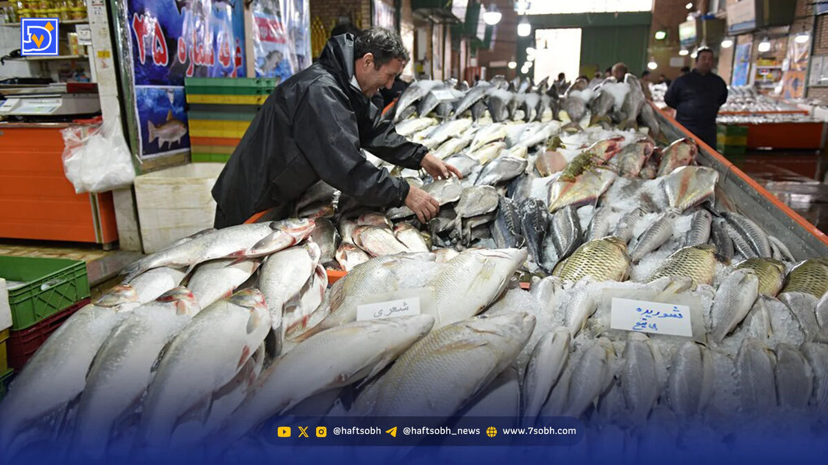 ماهی‌خورها بخوانند؛ گزارشی جالب از بازار ماهی‌فروشان لامرد