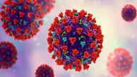 هشدار شیوع یک عفونت در ویتنام