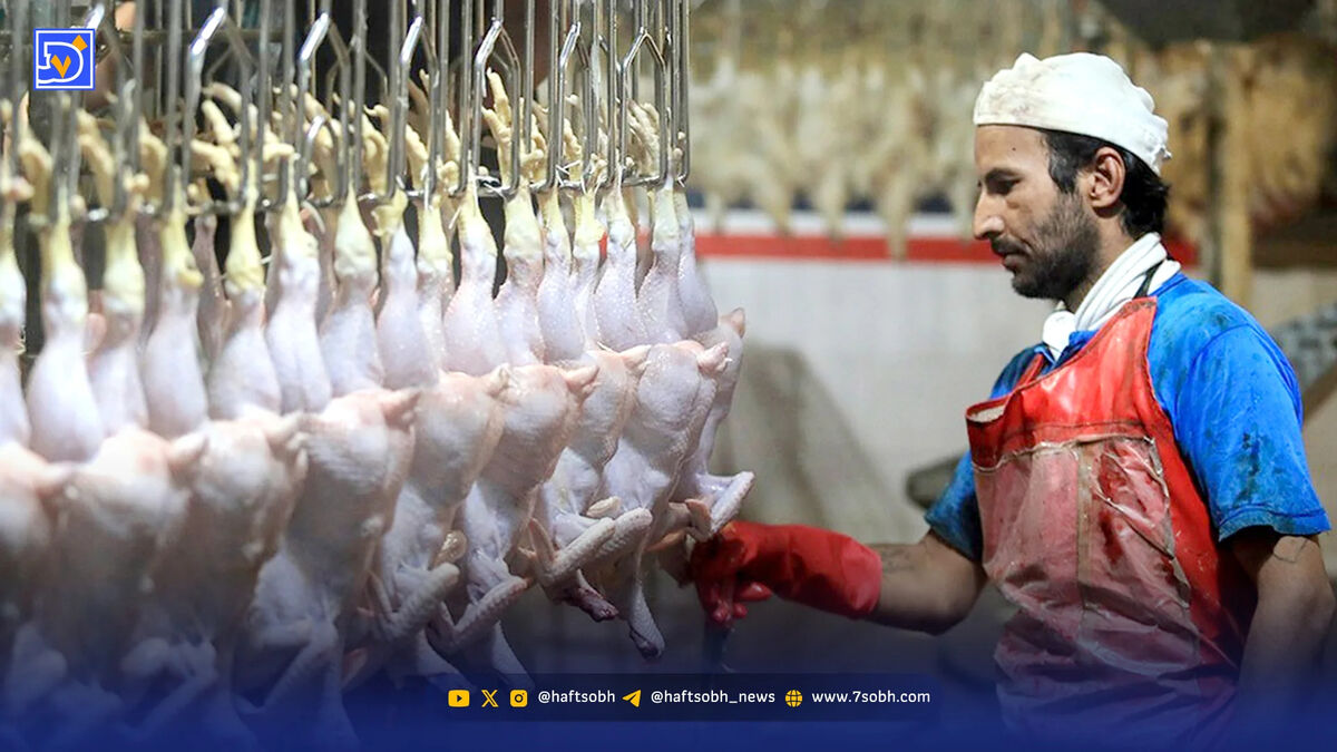 مرغ‌ها با دلار وزن‌کشی می‌شوند