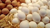 افزایش قیمت تخم مرغ در بازار امروز / یک شانه تخم مرغ چند؟