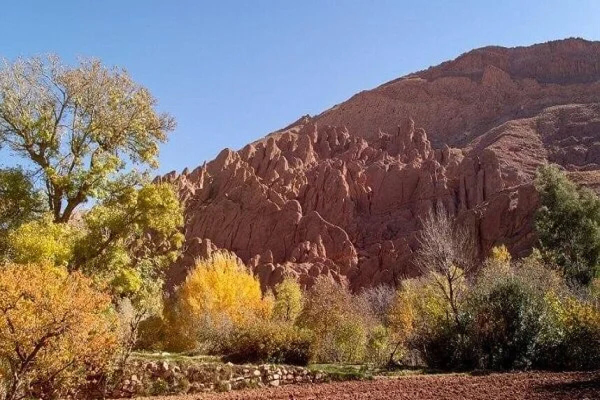 بحران تنوع زیستی، تهدیدی جهانی برای آینده بشریت است