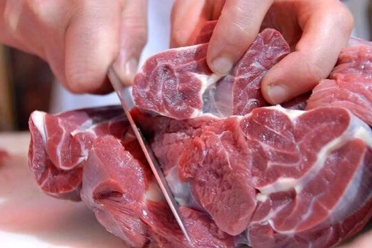 قیمت گوشت قرمز امروز / هر کیلوگرم گوشت گوسفندی چند شد؟