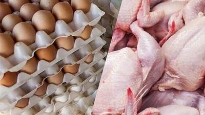 قیمت کالاهای اساسی خانوار: مرغ، تخم مرغ و انواع میوه چند؟ 