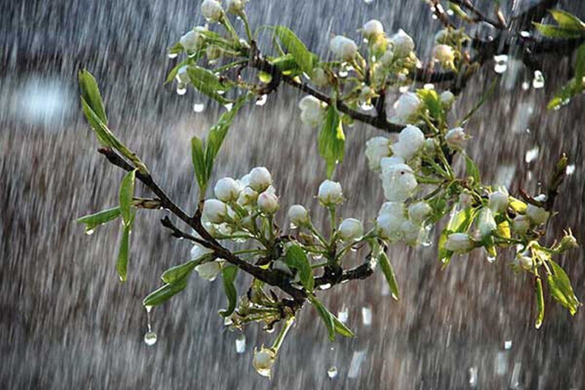 دمای تهران کاهش می یابد/ رگبار و رعد و برق در راه است