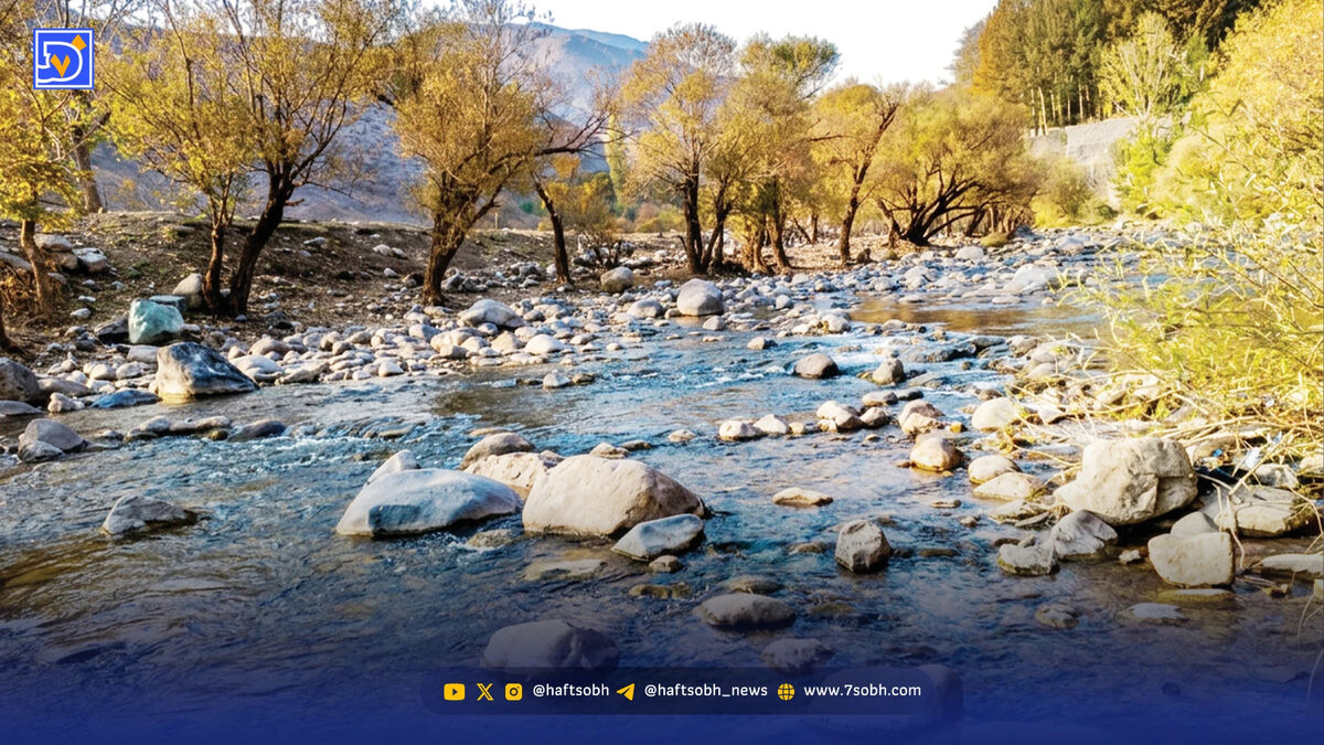 رسیدگی تدریجی به مرگ فوری بیدها