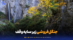 جنگل‌فروشی زیر سایه وقف