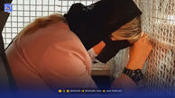 نقشه قتل مادربزرگ برای خرج عروسی نوه