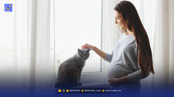 از توکسوپلاسموز قاتل چه می‌دانید؟
