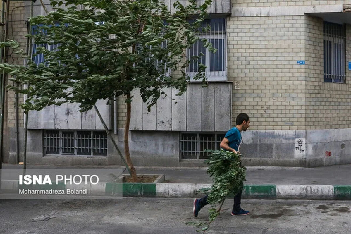 هشدار نسبت به وزش باد شدید در تهران/ احتمال سقوط اجسام از ارتفاع