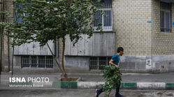 هشدار نسبت به وزش باد شدید در تهران/ احتمال سقوط اجسام از ارتفاع