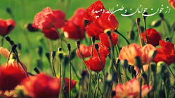 دانلود آهنگ از خون جوانان وطن لاله دمیده با صدای زن