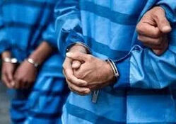 کشف راز قتل دو سالمند با دستگیری پرستار قلابی/ بازداشت مجدد سارق یک هفته پس از آزادی