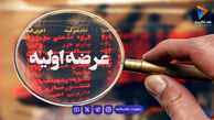 چقدر سرمایه لازم است تا بدون ریسک وارد بورس شوید؟ رازهایی که همه نمی‌دانند!