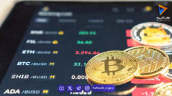 چگونه مبتدی‌ها با سبد ارز دیجیتال متنوع، ضررهای بزرگ را مهار می‌کنند؟